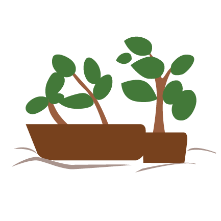 Livelihood